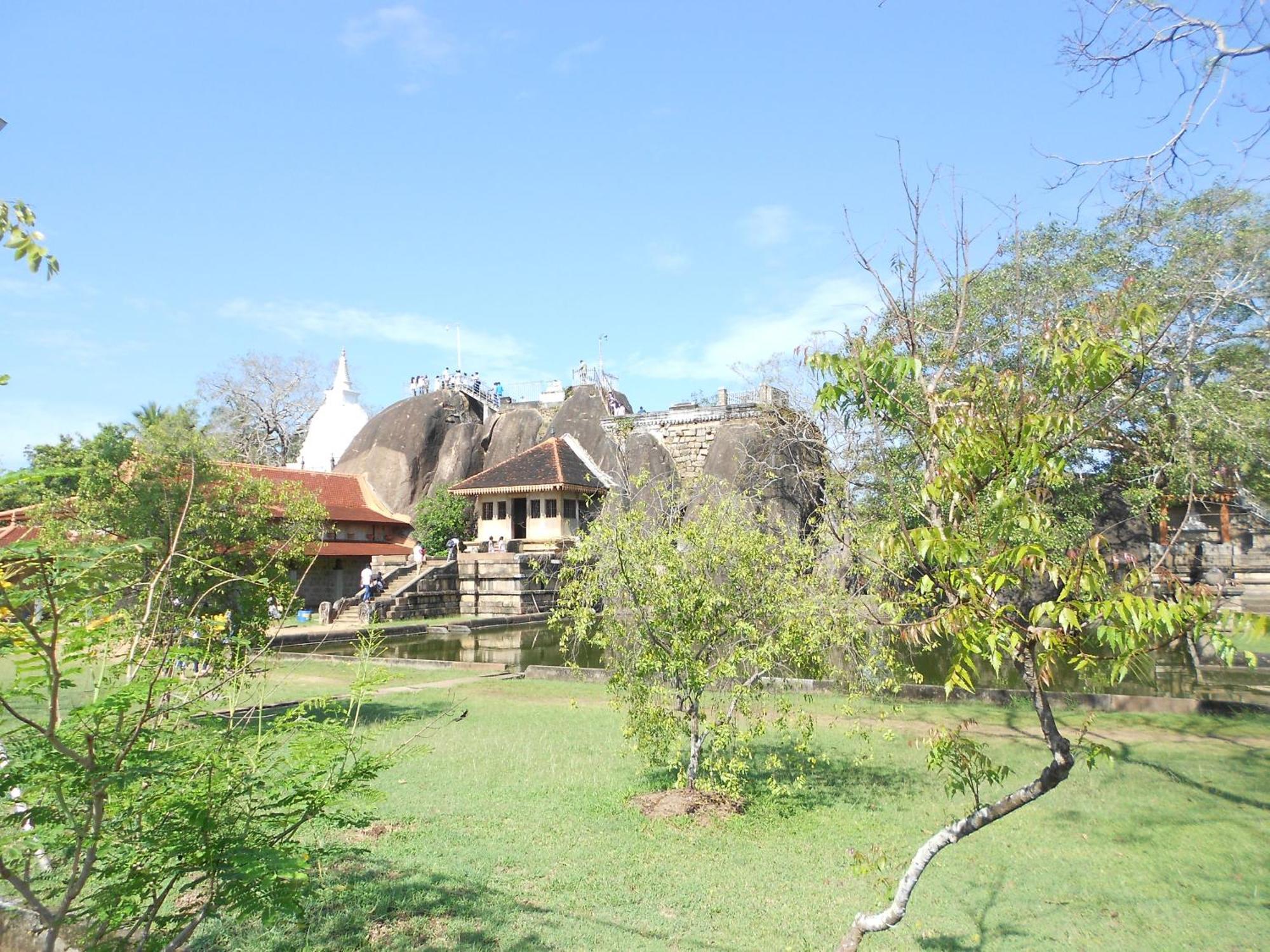 Shanith Guesthouse Negombo Dış mekan fotoğraf